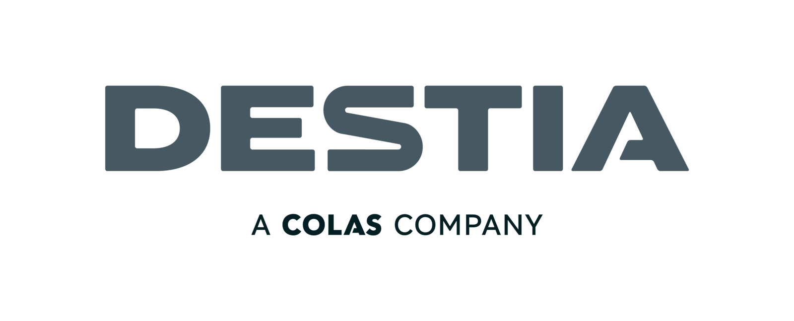 Hanken & SSE Executive Education customer logo Destia