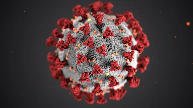 Important information about COVID-19/Coronavirus
