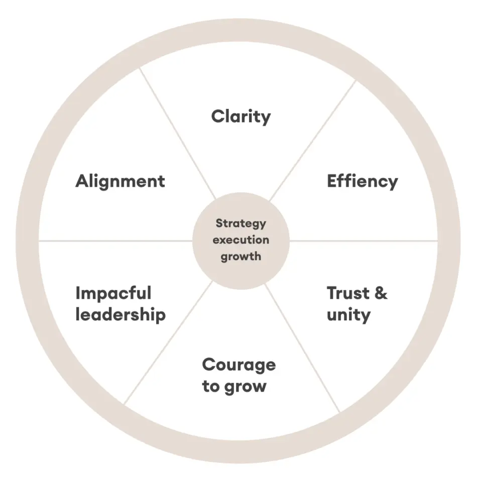 Elements of a truly high performing leadership team
